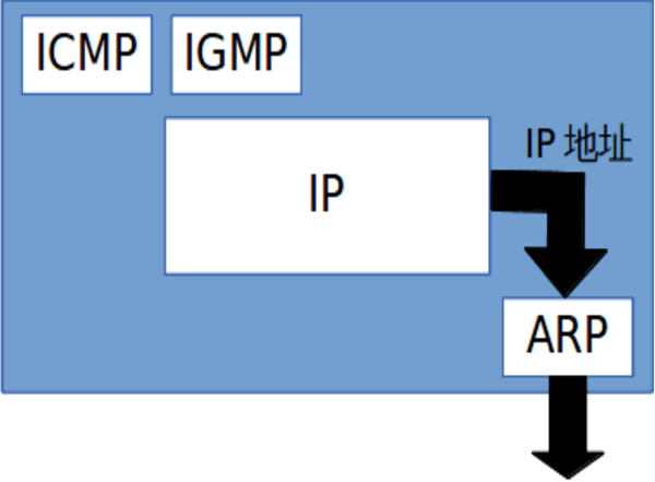 IP 地址的解析