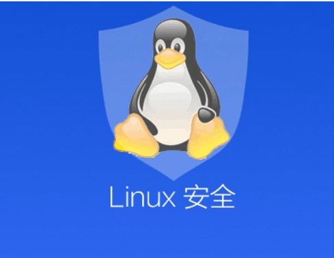 Linux文件系统的安全主要是通过设置文件的权限来实现的。每一个Linux的文件或目录，都有3组属性，分别定义文件或目录的所有者，用户组和其他人的使用权限(只读、可写、可执行、允许SUID、允许SGID等)。特别注意，权限为SUID和SGID的可执行文件，在程序运行过程中，会给进程赋予所有者的权限，如果被黑客发现并利用就会给系统造成危害。