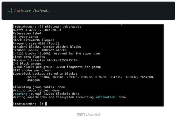 现在格式化并挂载分区，并在 /etc/fstab 添加相同的信息，它控制在系统启动时挂载文件系统。