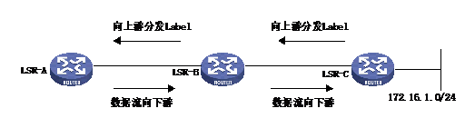 可分为全局标签空间和接口标签空间，全局标签空间表示LSR为特定目的地的FEC产生唯一的Label，接口标签空间表示LSR在每个接口上为特定目的地的FEC产生唯一的Label。在帧模式的链路上为全局标签空间，在信元模式的链路上为接口标签空间。LDP报文中的LDP-ID域中指示出标签空间值。