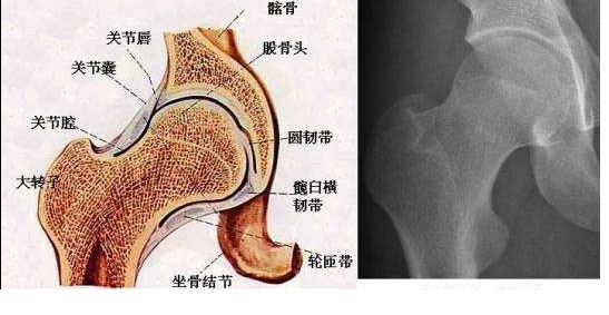 医学影像大数据与智能医疗的讲解